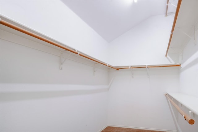 walk in closet with lofted ceiling and carpet floors