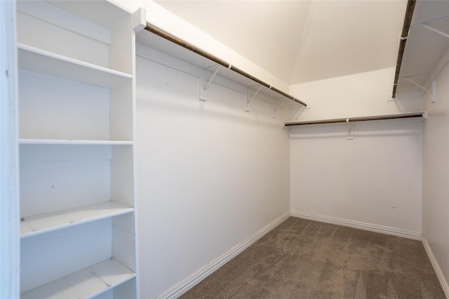 spacious closet featuring carpet flooring