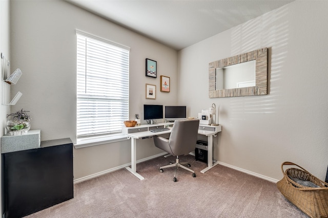 office space featuring carpet flooring