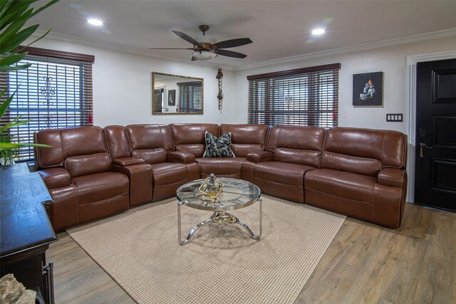 living room with crown molding, a wealth of natural light, ceiling fan, and light wood-type flooring