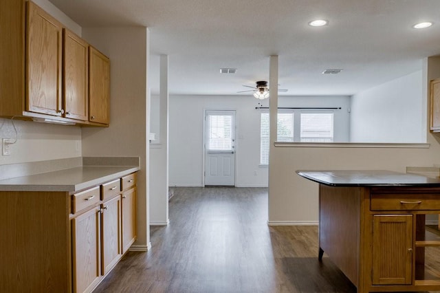 kitchen featuring ceiling fan and dark hardwood / wood-style flooring