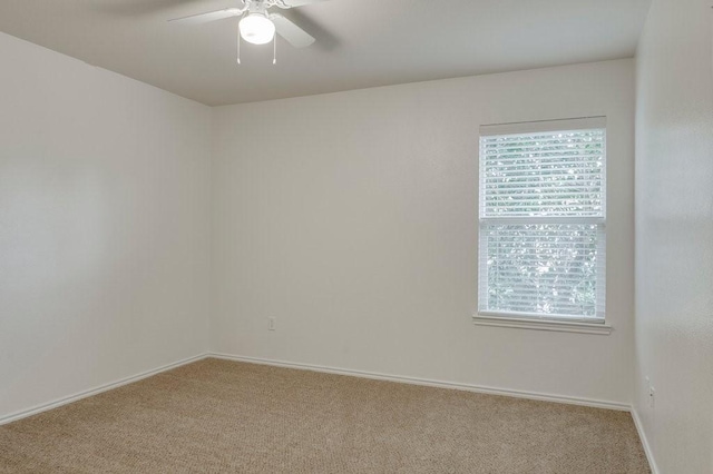 unfurnished room with ceiling fan and carpet floors