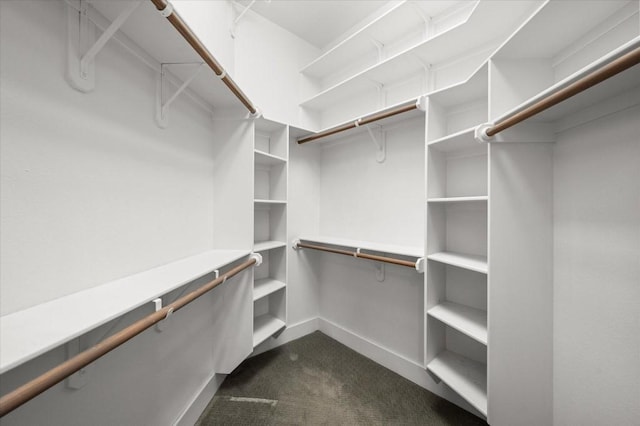walk in closet with dark carpet