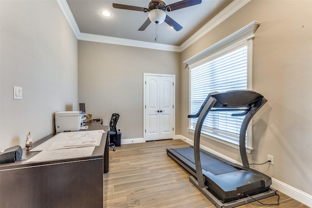 workout room with light hardwood / wood-style flooring, plenty of natural light, and ornamental molding