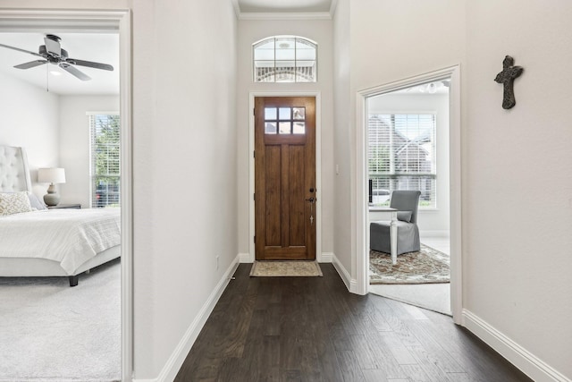 foyer featuring dark wood-type flooring, crown molding, ceiling fan, and a healthy amount of sunlight