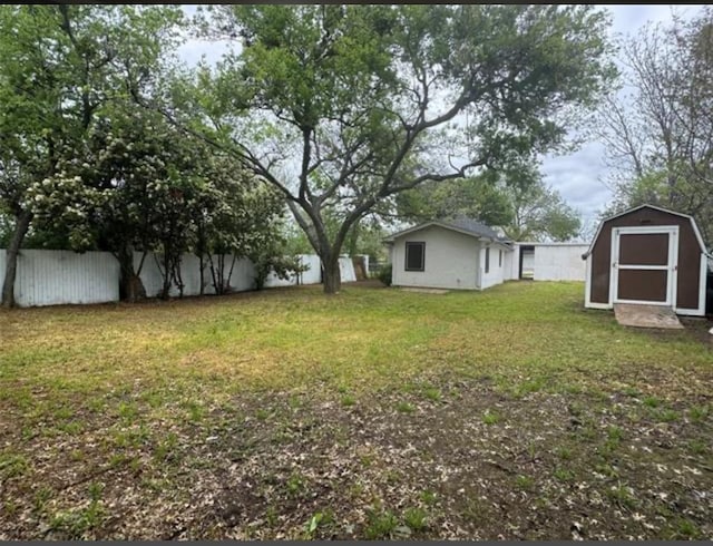 view of yard featuring a shed