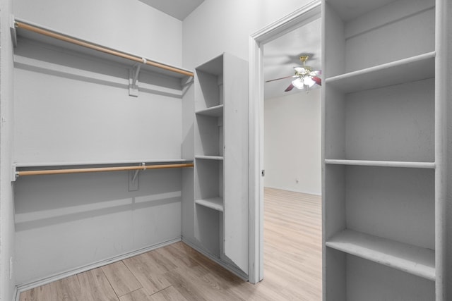 spacious closet featuring light hardwood / wood-style flooring and ceiling fan