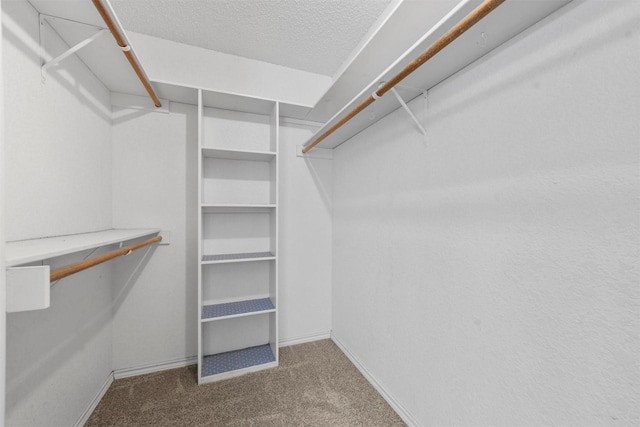 spacious closet with carpet flooring