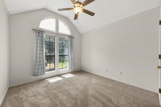 carpeted spare room with ceiling fan, a healthy amount of sunlight, lofted ceiling, and ornamental molding