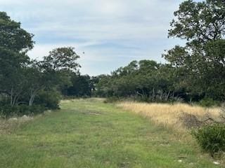 view of local wilderness