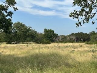 view of local wilderness