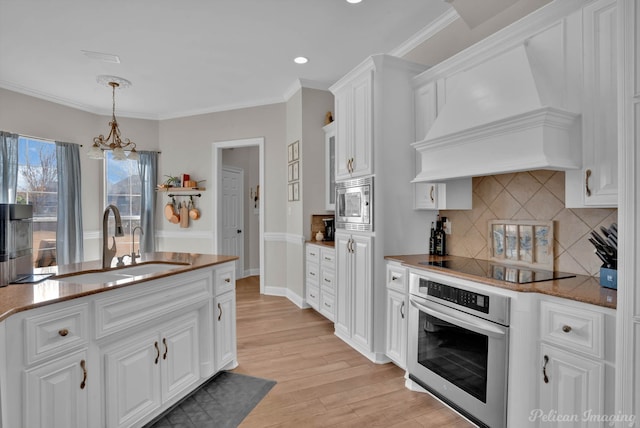 kitchen with premium range hood, sink, appliances with stainless steel finishes, decorative backsplash, and white cabinets