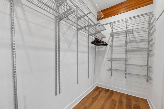 walk in closet with hardwood / wood-style flooring