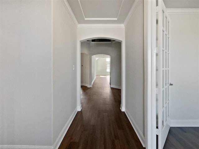 corridor with crown molding and dark wood-type flooring