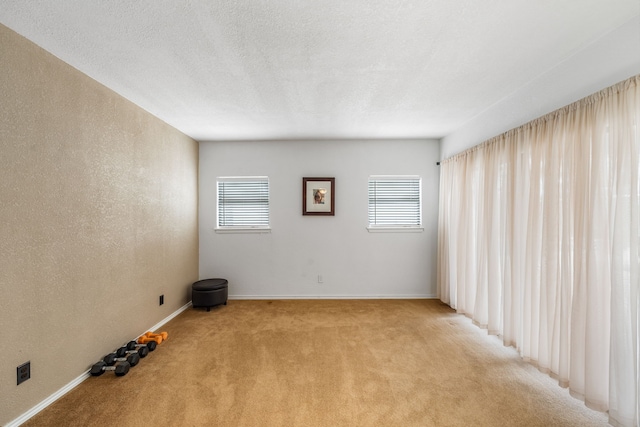 unfurnished room featuring light colored carpet