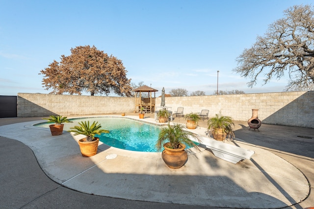 view of pool with a patio area