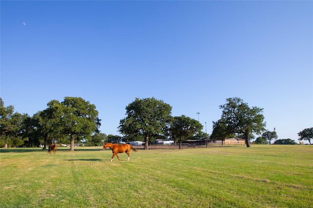 view of yard with a rural view