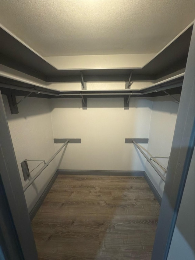 walk in closet with dark hardwood / wood-style flooring