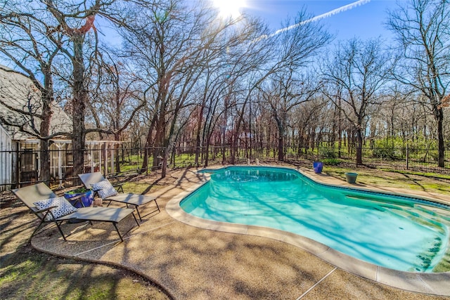 view of swimming pool featuring a patio area