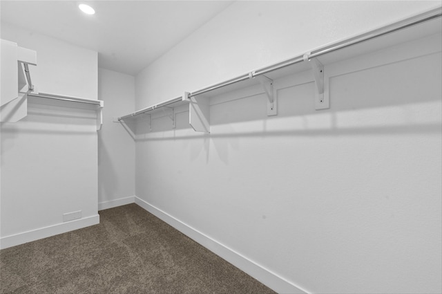 walk in closet with dark colored carpet