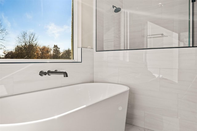 bathroom featuring a washtub