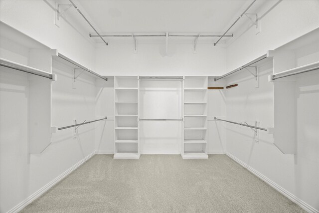 walk in closet featuring carpet floors