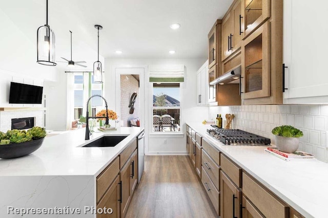 kitchen with ceiling fan, sink, stainless steel appliances, ventilation hood, and pendant lighting