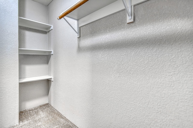 walk in closet with carpet floors