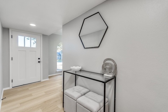 entryway featuring plenty of natural light and light wood-type flooring