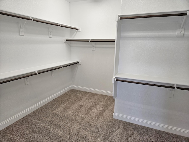 spacious closet with carpet flooring