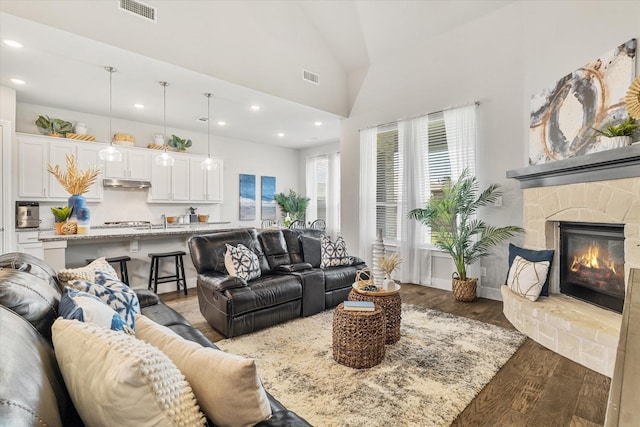 living room featuring lofted ceiling, dark wood-type flooring, and a fireplace