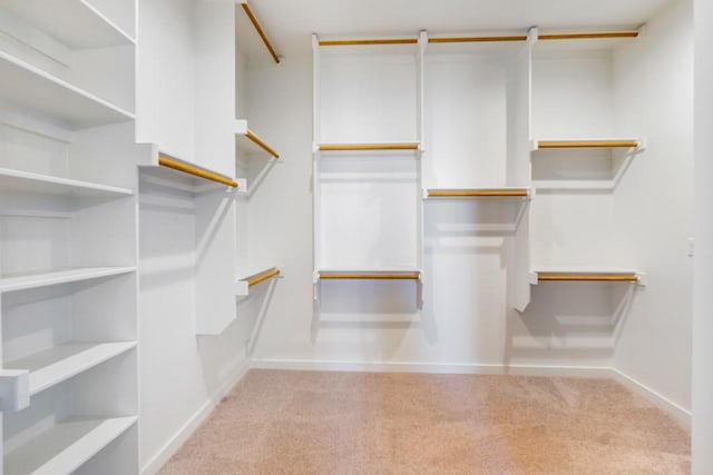 walk in closet featuring light carpet