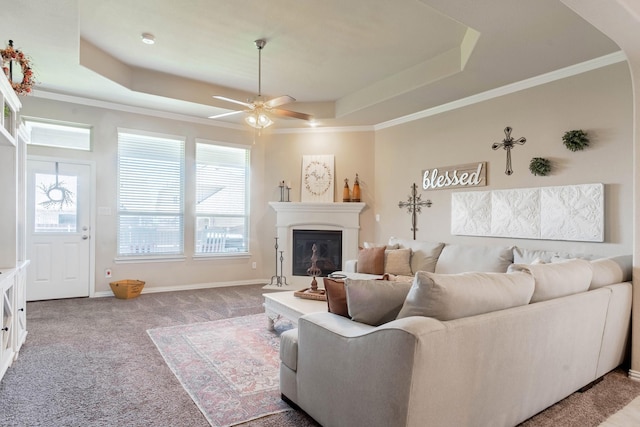 living room featuring a tray ceiling, ornamental molding, ceiling fan, and carpet flooring