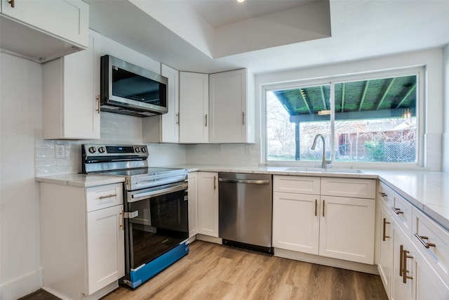 kitchen featuring appliances with stainless steel finishes, a raised ceiling, sink, and white cabinets