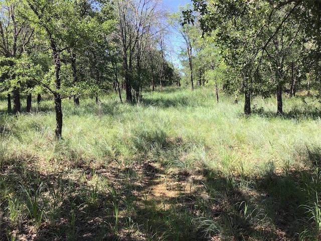 Listing photo 3 for LOT286 Cozy Cove Ct, Chico TX 76431