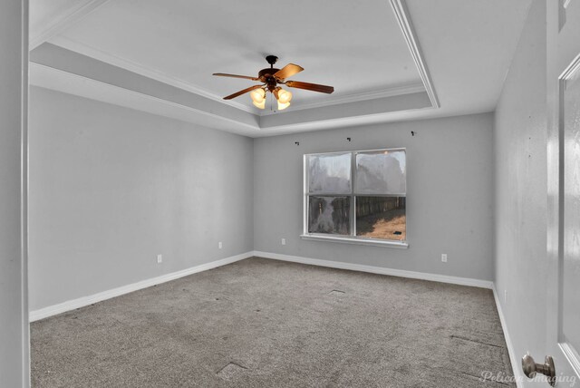 spare room with crown molding, a raised ceiling, ceiling fan, and carpet flooring