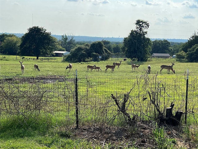 view of yard with a rural view