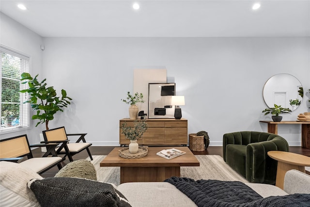 living room with hardwood / wood-style flooring