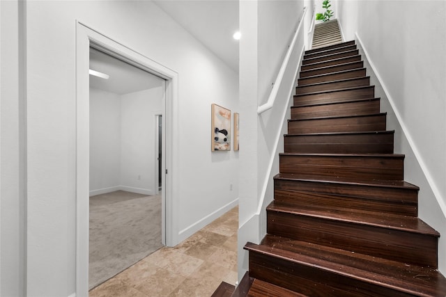 staircase featuring carpet floors