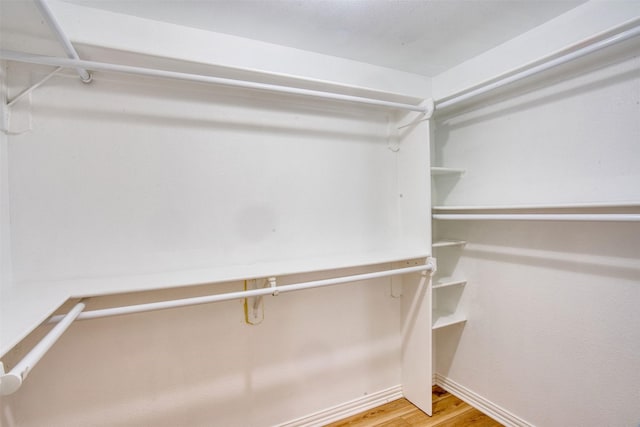 spacious closet featuring wood-type flooring