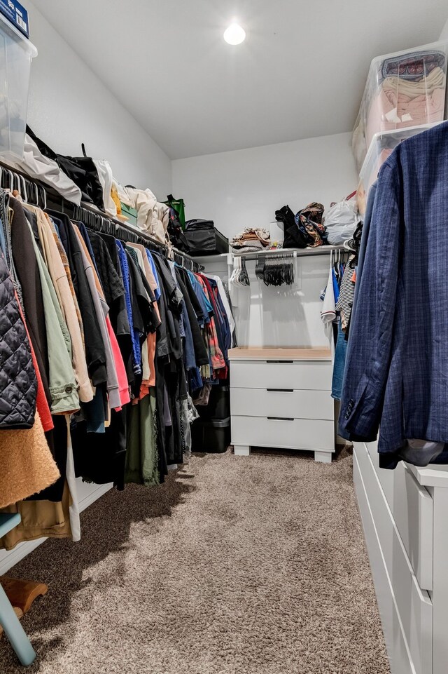 walk in closet featuring light carpet