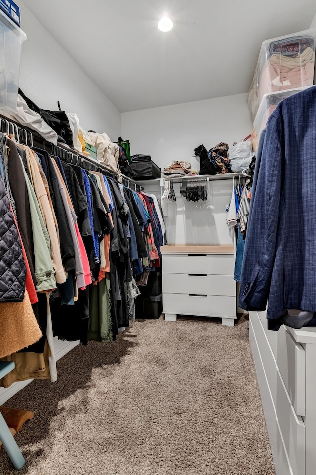 spacious closet featuring light carpet