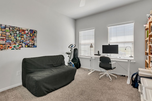 office area featuring light carpet