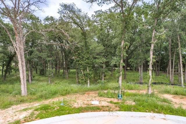 Listing photo 2 for 0000 Ellis, Canton TX 75103