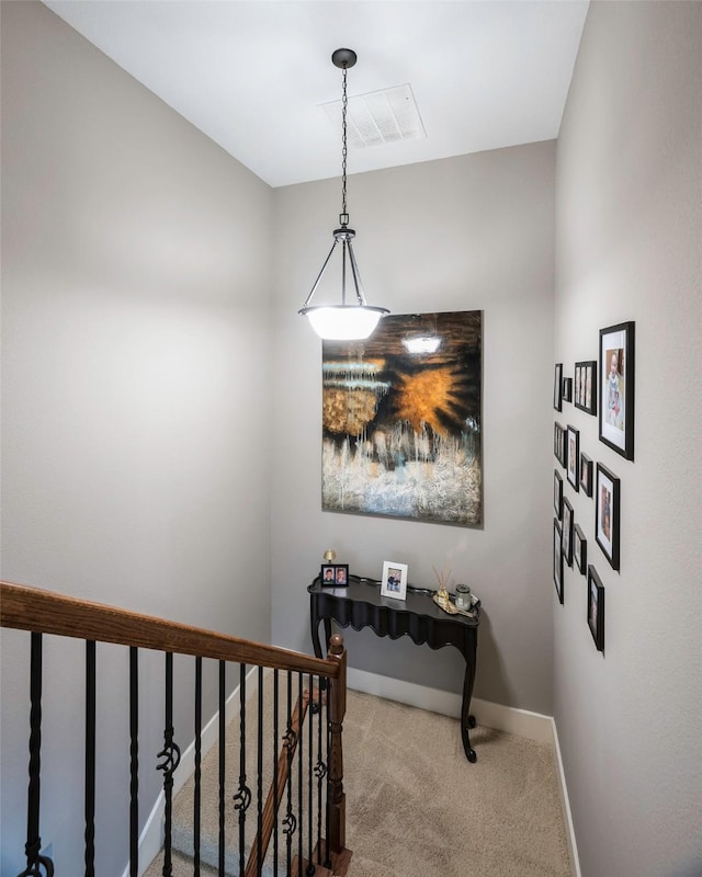 staircase with carpet floors