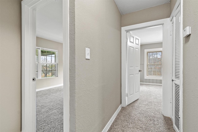 hallway with light colored carpet