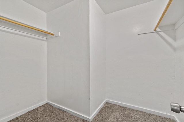 walk in closet with carpet