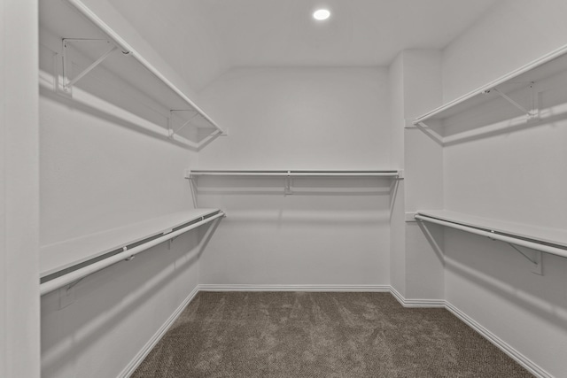 spacious closet with dark carpet