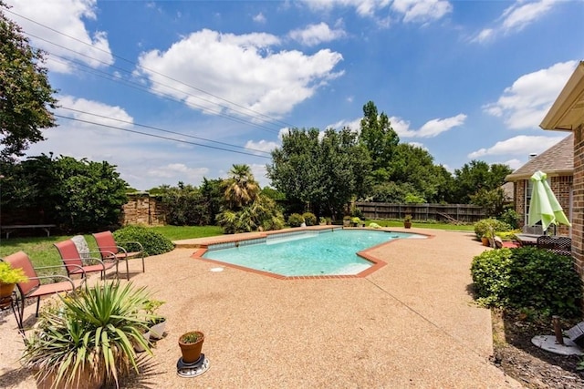 view of pool featuring a patio