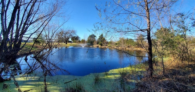 property view of water